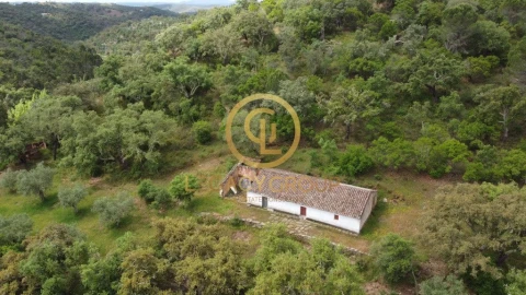 Quinta T2 para Venda em São Martinho das Amoreiras
