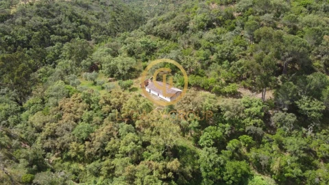 Quinta T2 para Venda em São Martinho das Amoreiras