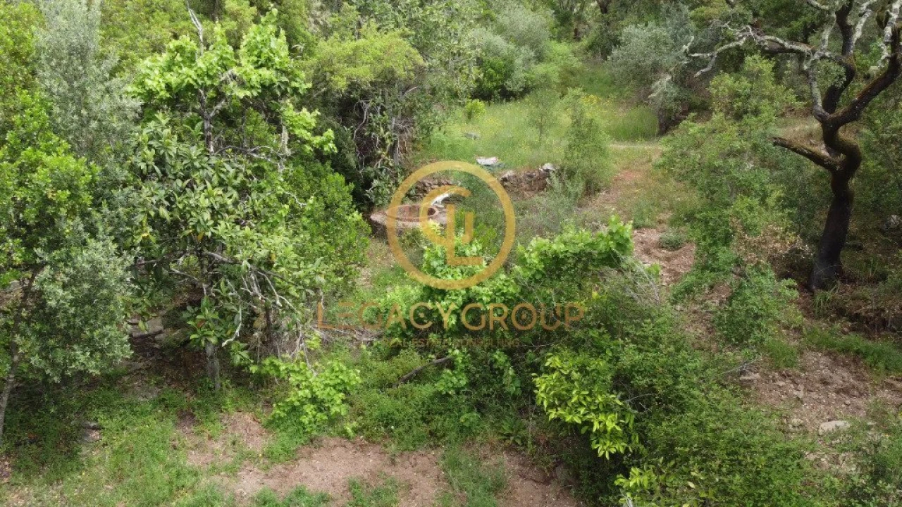 Quinta T2 para Venda em São Martinho das Amoreiras Foto 16