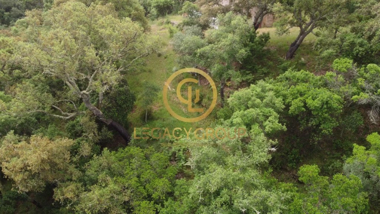 Quinta T2 para Venda em São Martinho das Amoreiras Foto 18