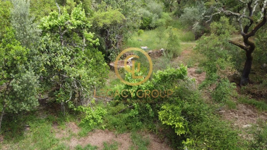 Quinta T2 para Venda em São Martinho das Amoreiras Foto 16