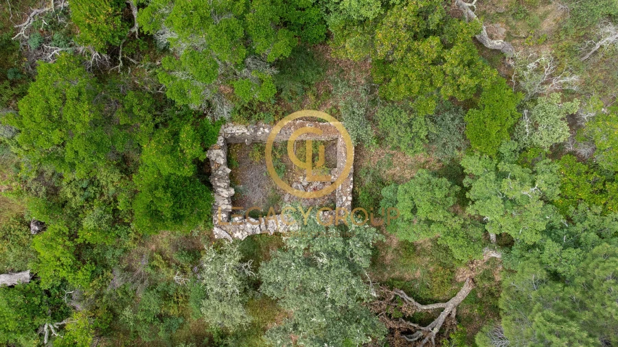 Quinta T2 para Venda em São Martinho das Amoreiras Foto 10