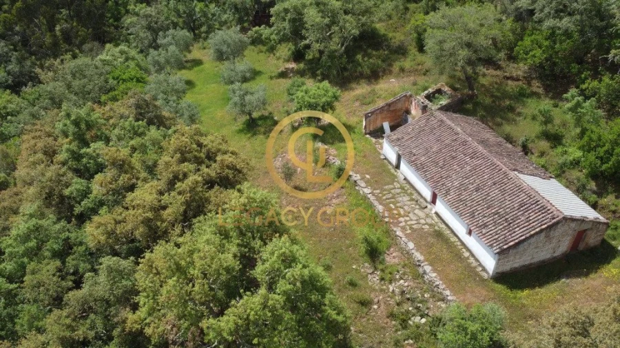 Quinta T2 para Venda em São Martinho das Amoreiras Foto 5