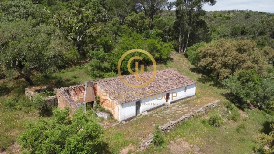 Quinta T2 para Venda em São Martinho das Amoreiras Foto 2