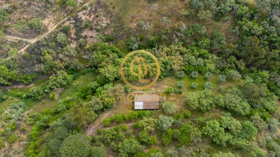 Quinta T2 para Venda em São Martinho das Amoreiras Foto 12