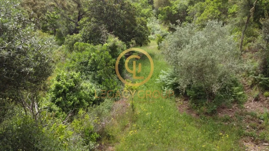 Quinta T2 para Venda em São Martinho das Amoreiras Foto 19