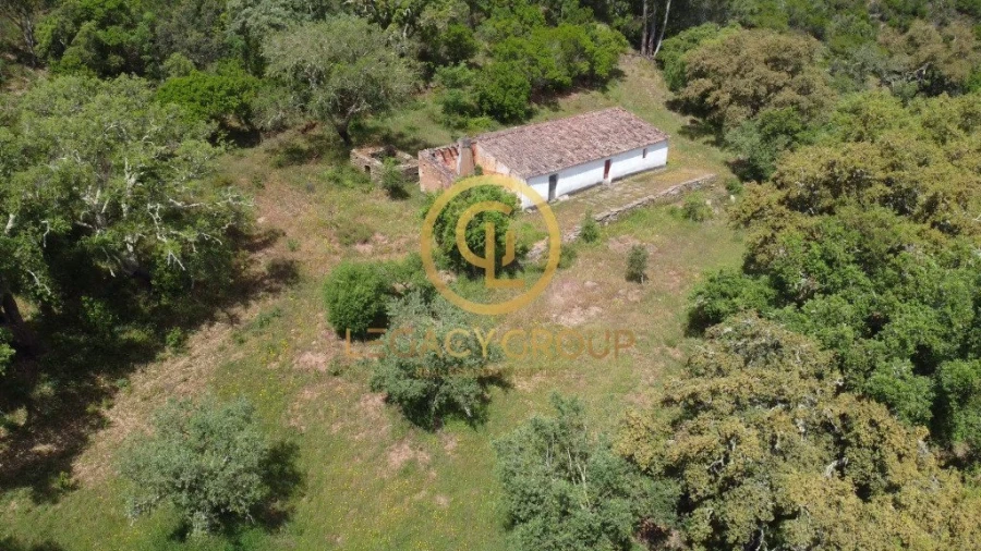 Quinta T2 para Venda em São Martinho das Amoreiras Foto 8