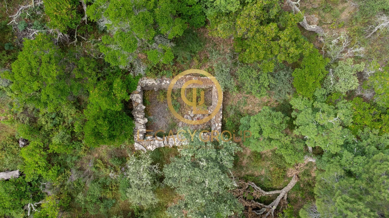 Quinta T2 para Venda em São Martinho das Amoreiras Foto 10