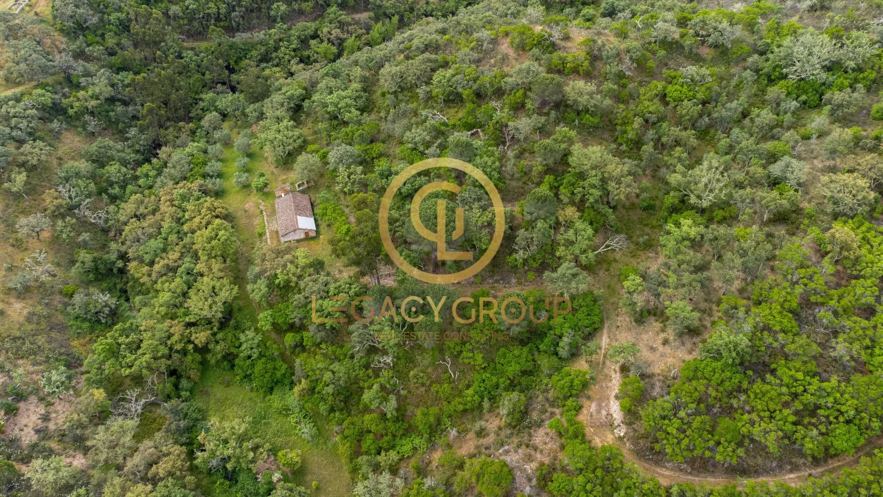 Quinta T2 para Venda em São Martinho das Amoreiras Foto 11