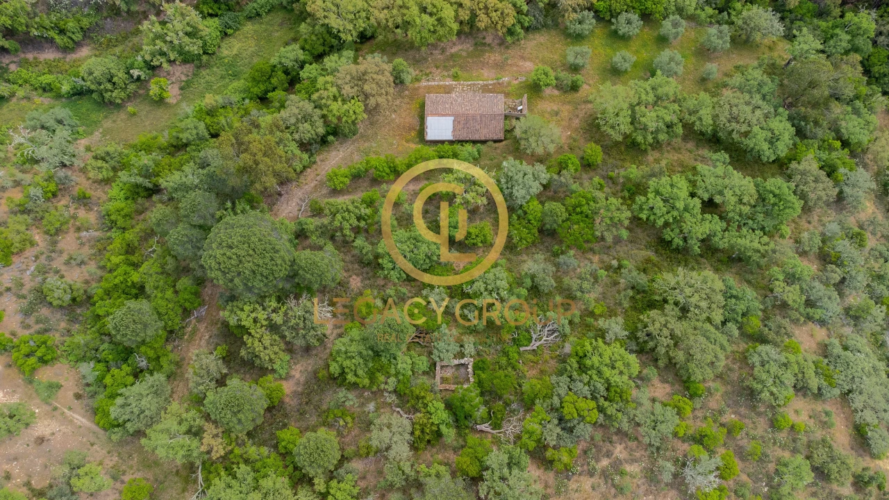 Quinta T2 para Venda em São Martinho das Amoreiras Foto 9