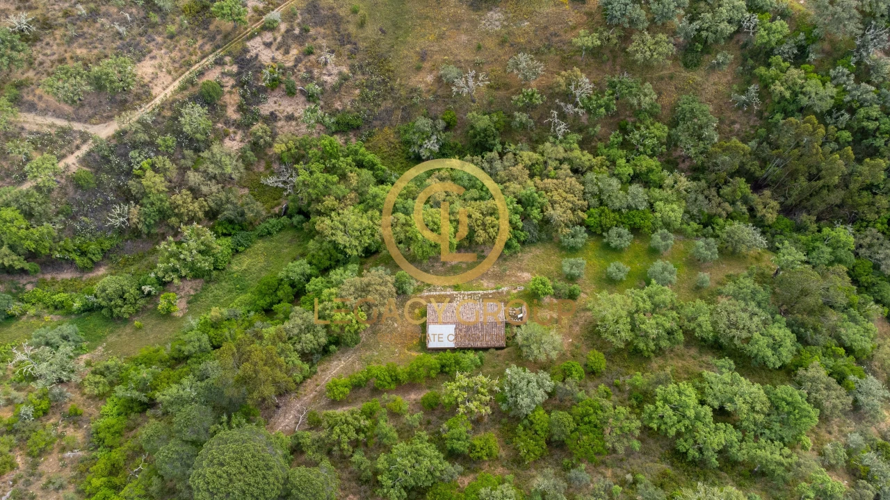 Quinta T2 para Venda em São Martinho das Amoreiras Foto 12