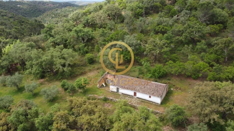 Quinta T2 para Venda em São Martinho das Amoreiras