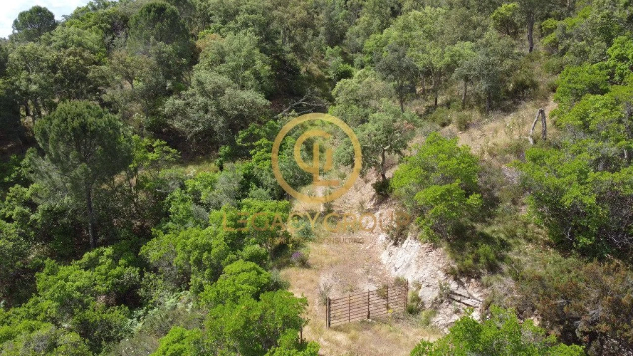 Quinta T2 para Venda em São Martinho das Amoreiras Foto 7