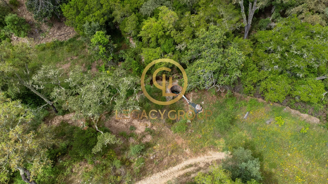 Quinta T2 para Venda em São Martinho das Amoreiras Foto 14
