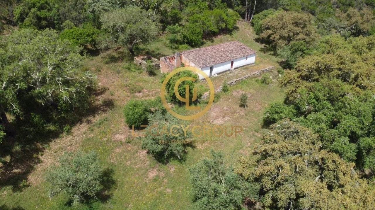 Quinta T2 para Venda em São Martinho das Amoreiras Foto 8
