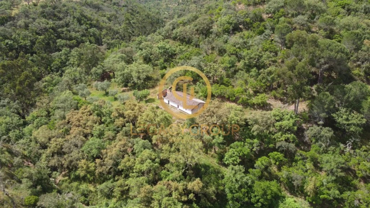 Quinta T2 para Venda em São Martinho das Amoreiras Foto 20