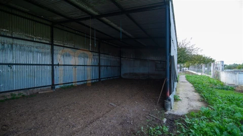 Quinta T4 para Venda em Vila Nova da Baronia