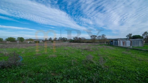 Quinta T4 para Venda em Vila Nova da Baronia