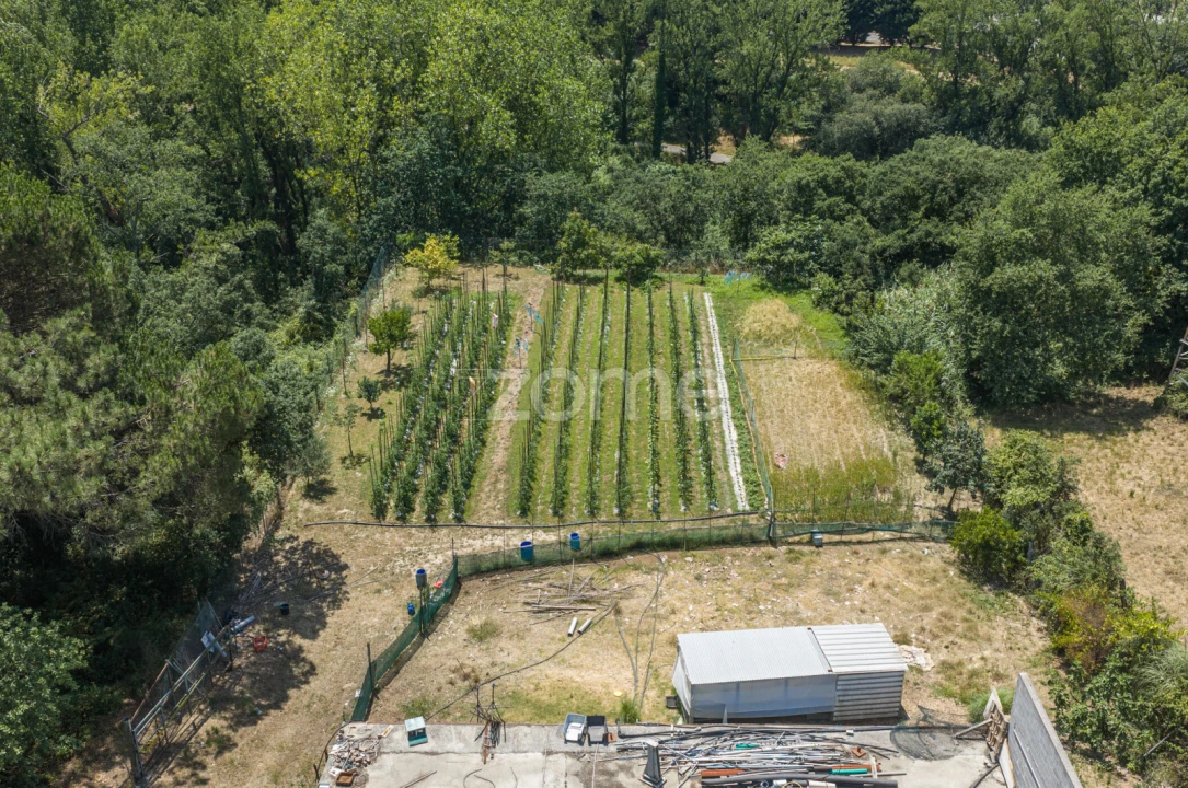 Terreno para Venda em Campanhã Foto 13