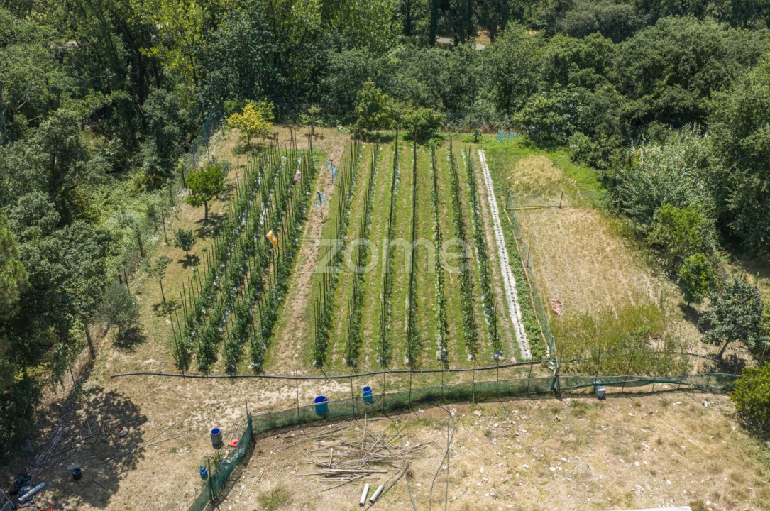 Terreno para Venda em Campanhã Foto 14