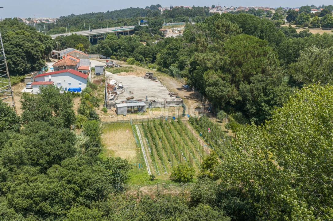 Terreno para Venda em Campanhã Foto 15