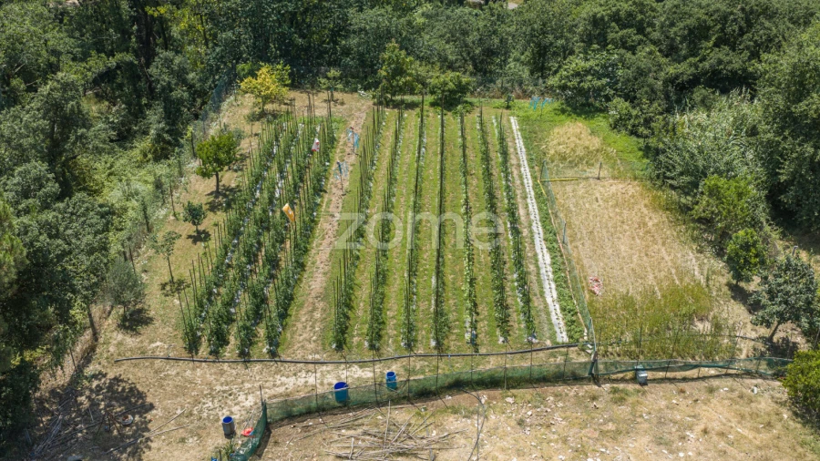 Terreno para Venda em Campanhã