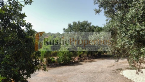Moradia T3 para Venda em Santa Barbara de Nexe