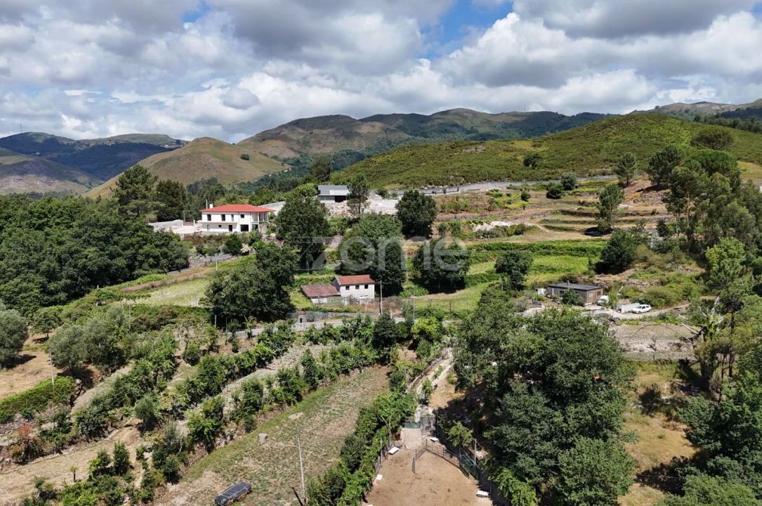 Terreno para Venda em Gondoriz Foto 3