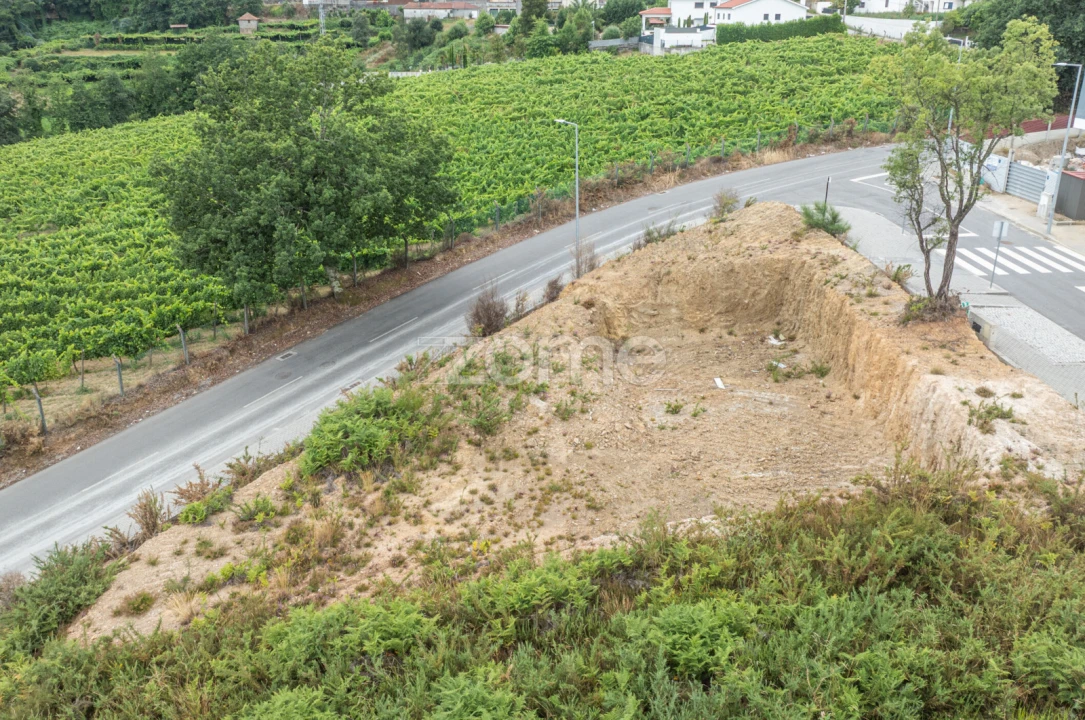 Terreno para Venda em Friande Foto 9