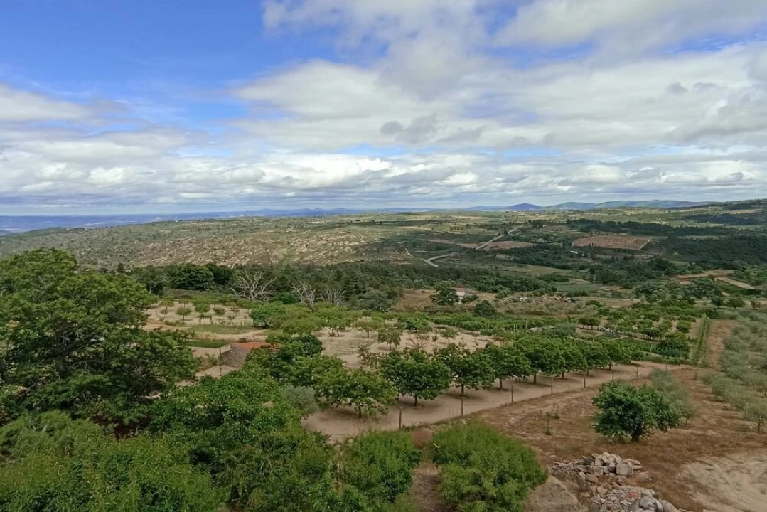 Terreno para Venda em Vilarinho da Castanheira Foto 2