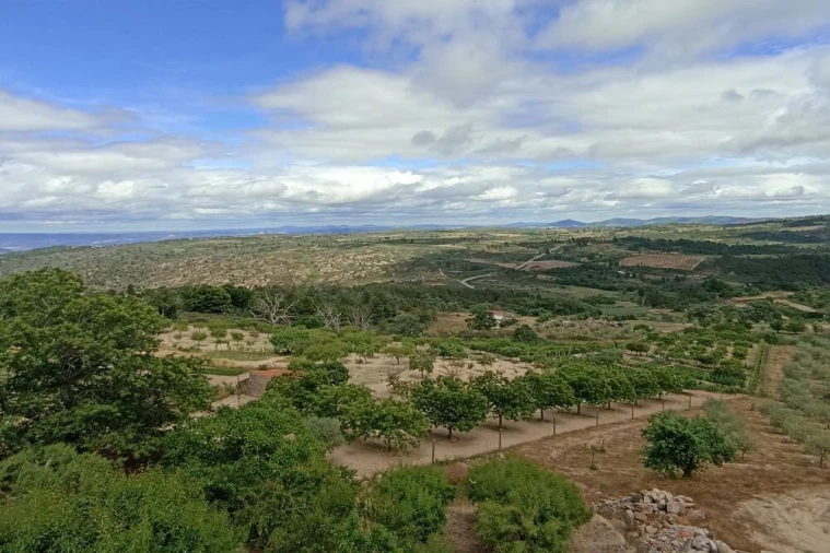 Terreno para Venda em Vilarinho da Castanheira Foto 2
