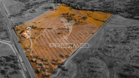 Quinta T4 para Venda em Vimieiro