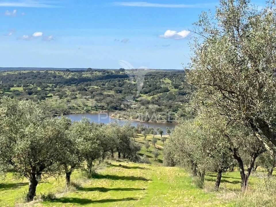Terreno para Venda em Avis Foto 3