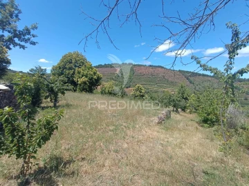 Terreno para Venda em Alcongosta