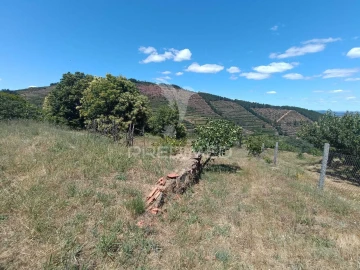Terreno para Venda em Alcongosta