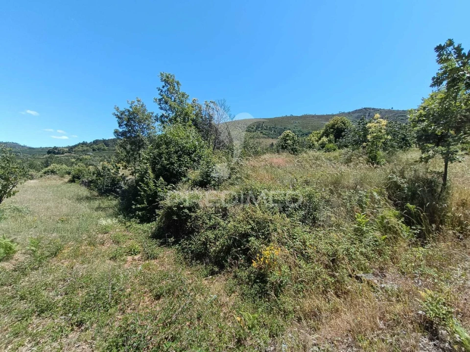 Terreno para Venda em Alcongosta Foto 8