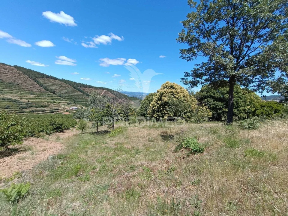 Terreno para Venda em Alcongosta Foto 7