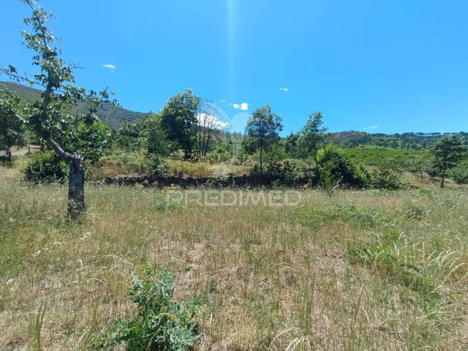 Terreno para Venda em Alcongosta Foto 13