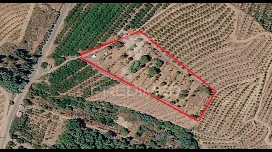 Terreno para Venda em Alcongosta