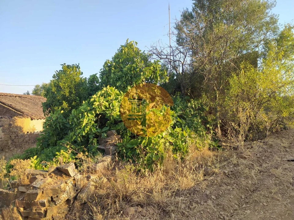 Moradia T0 para Venda em Azinhal Foto 4