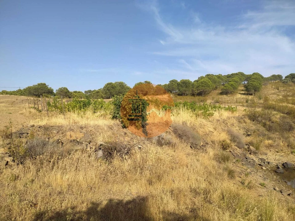 Terreno para Venda em Odeleite Foto 3