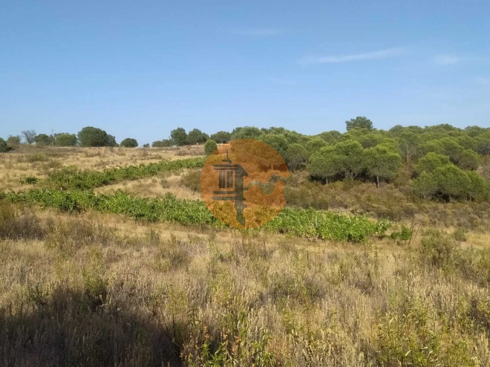 Terreno para Venda em Odeleite Foto 9
