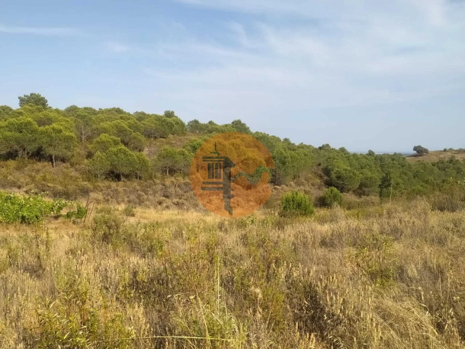 Terreno para Venda em Odeleite Foto 10