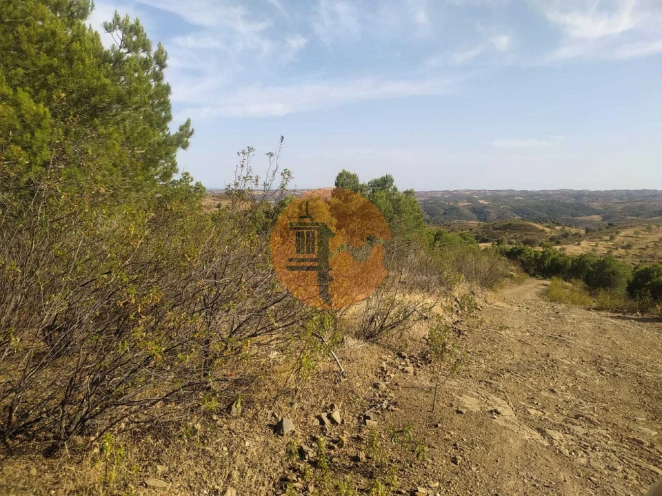 Terreno para Venda em Odeleite Foto 17