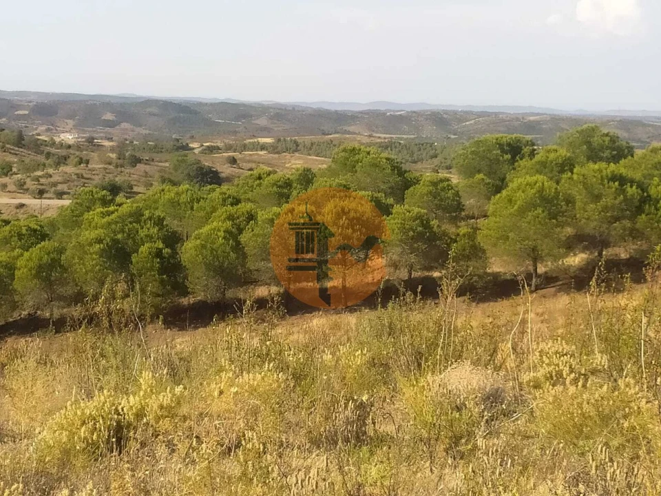 Terreno para Venda em Odeleite Foto 18