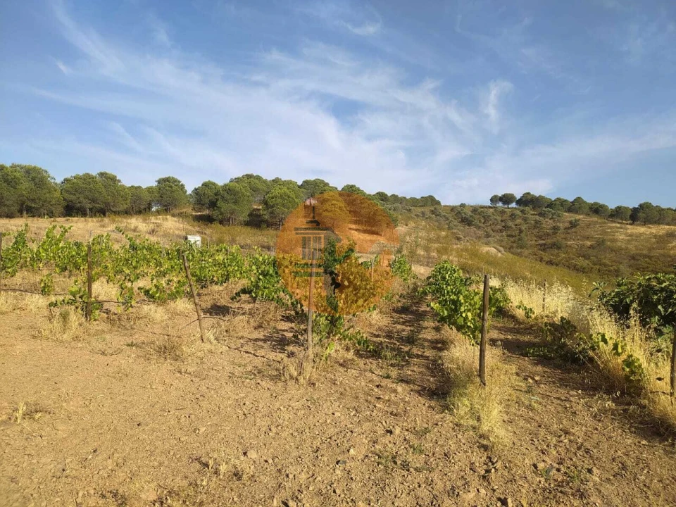 Terreno para Venda em Odeleite Foto 19