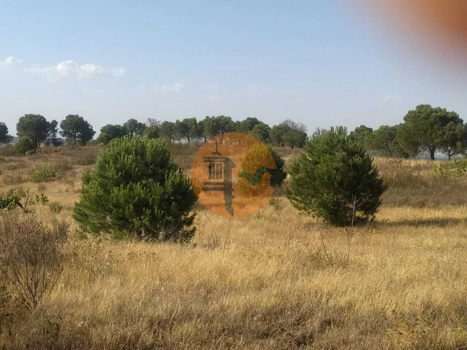 Terreno para Venda em Odeleite Foto 21