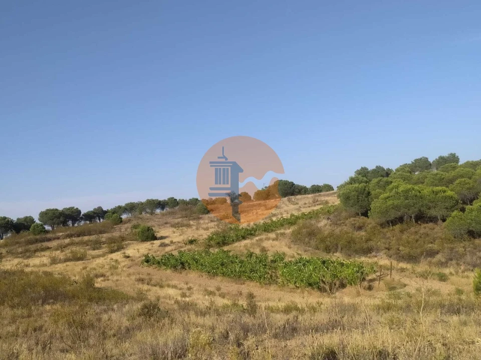 Terreno para Venda em Odeleite Foto 23