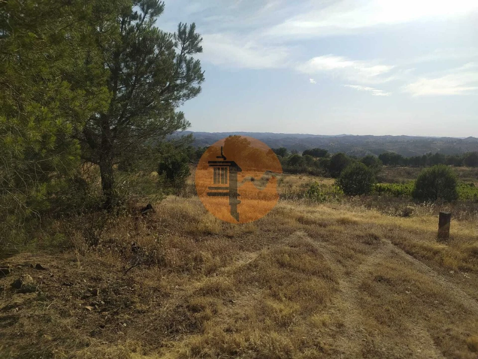 Terreno para Venda em Odeleite Foto 26