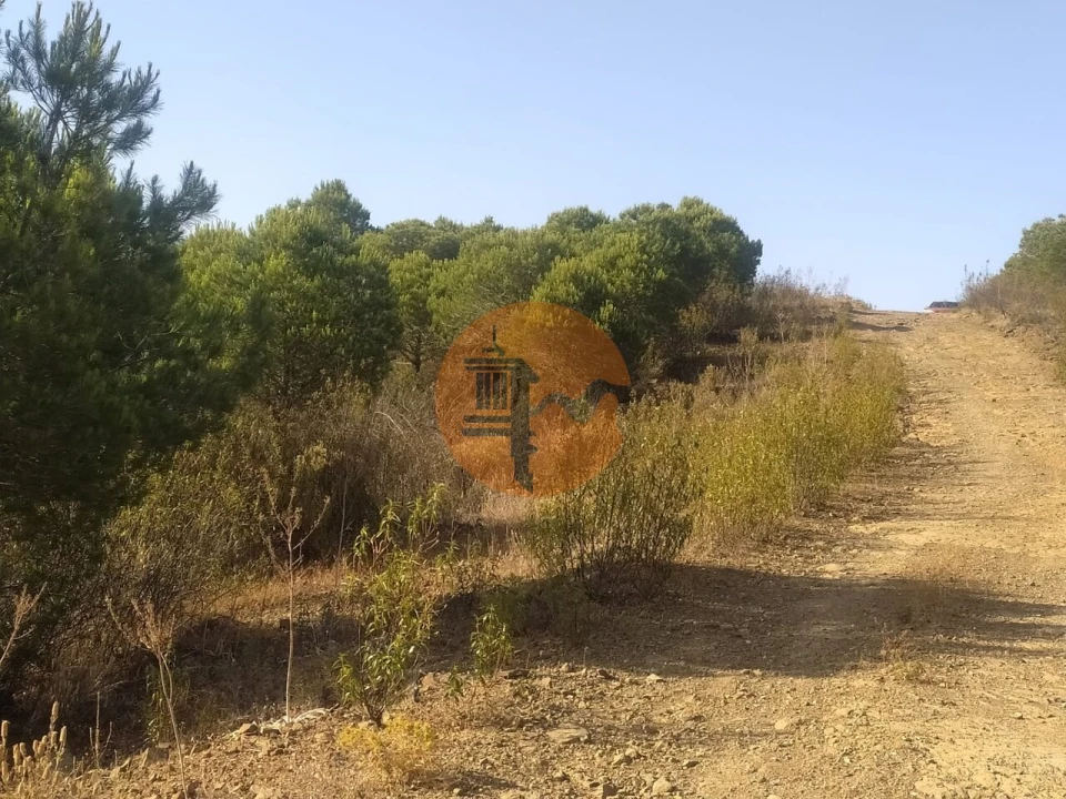 Terreno para Venda em Odeleite Foto 29